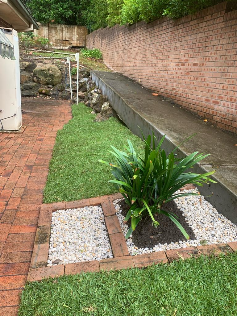 Forestville turf and garden bed